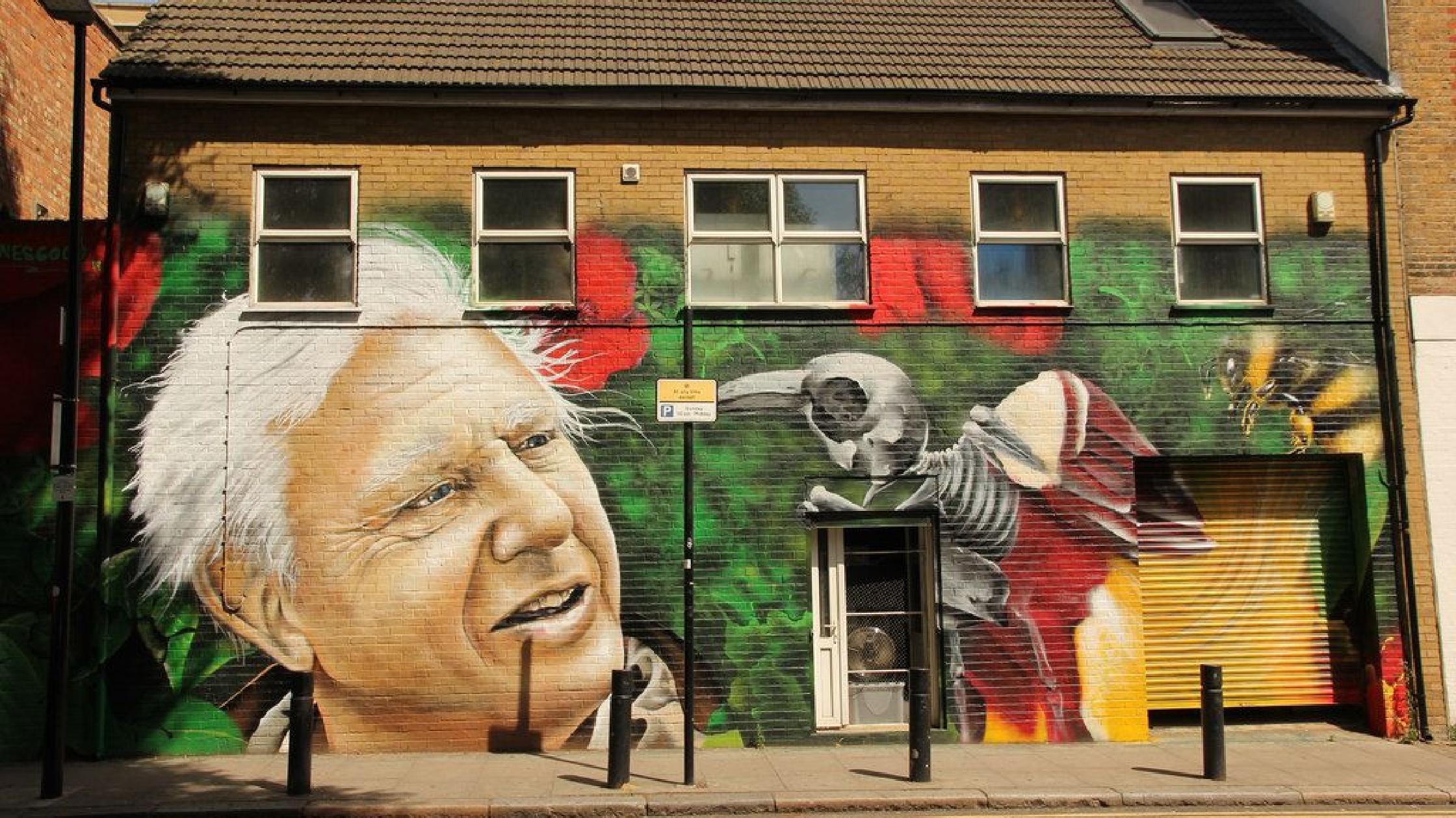 5 life lessons from Sir David Attenborough