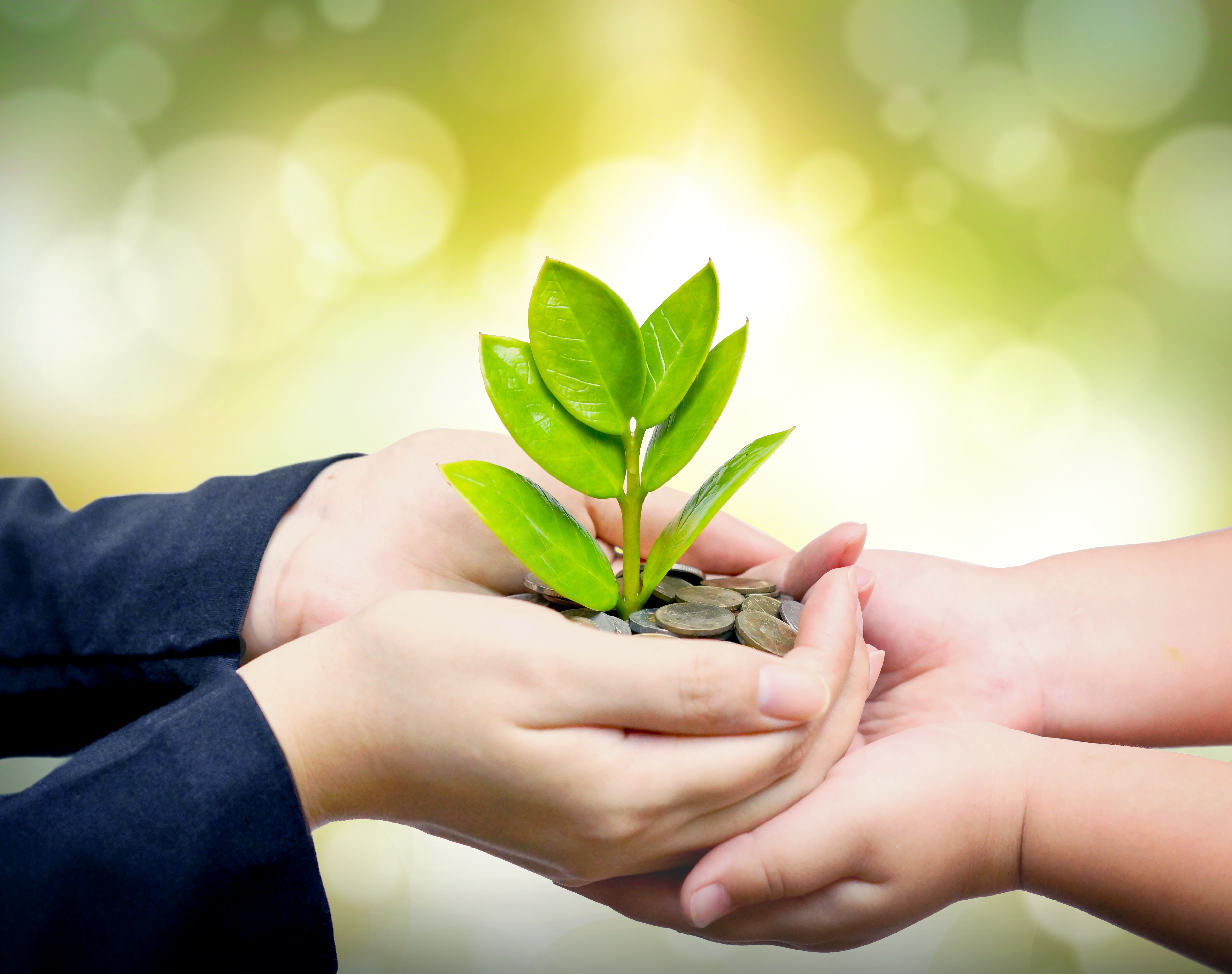 Banks or Piggy banks? How to save for children.