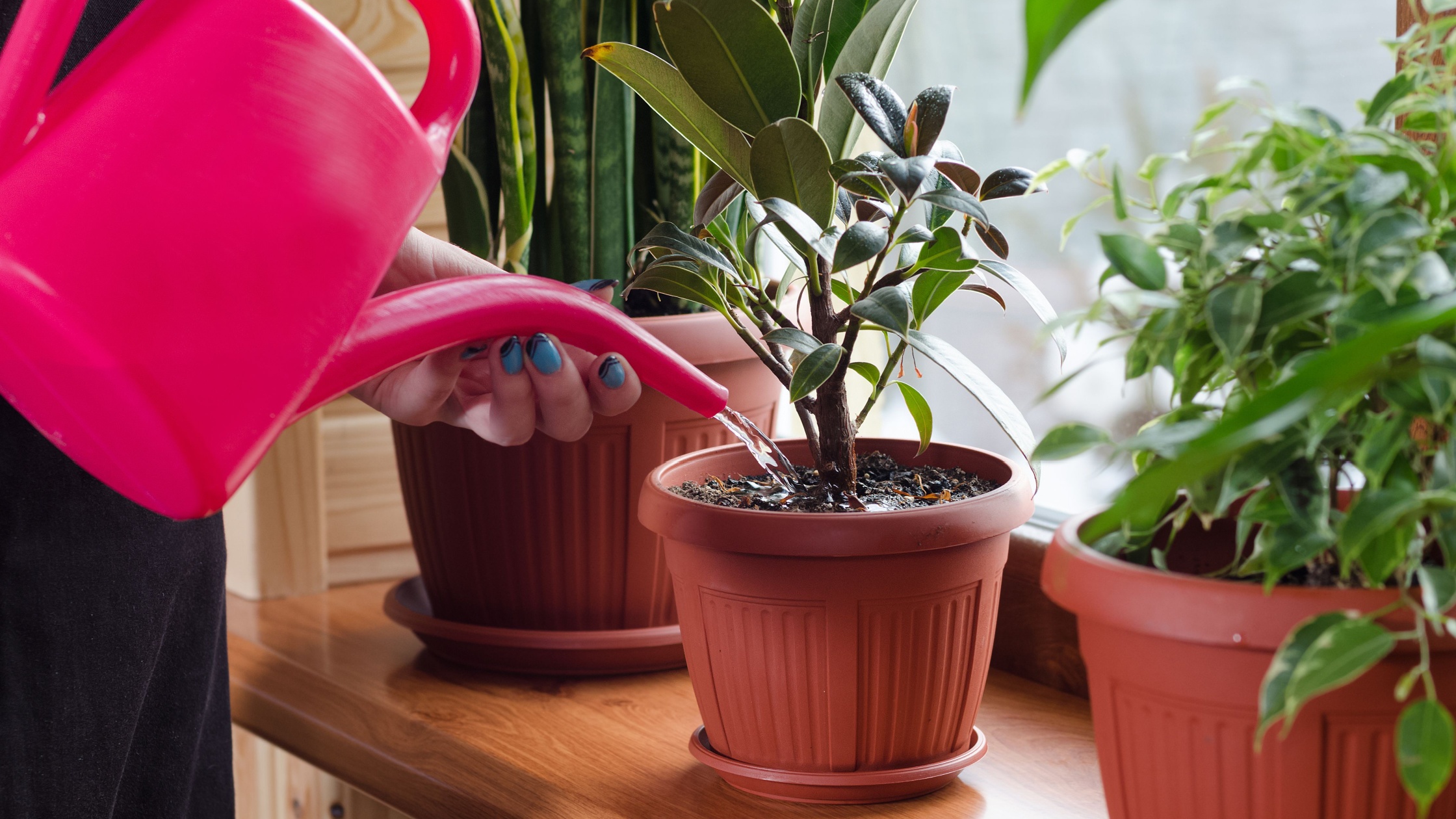How to use an unexpected windfall to create long-term prosperity